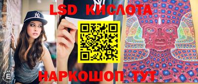 крисы Свободный