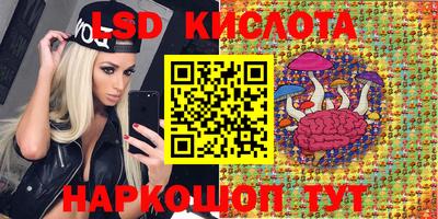 крисы Свободный
