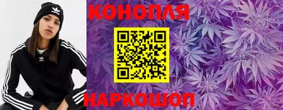 крисы Свободный