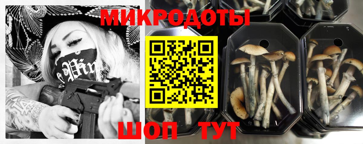 Галлюциногенные грибы Magic Shrooms  Вход с VPN  Галлюциногенные грибы ЛСД  Петрозаводск 