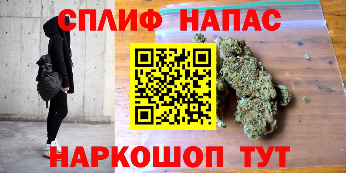 Конопля гибрид Петрозаводск